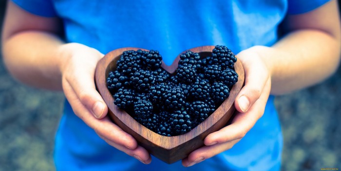 полезность ягоды ежевики продажа