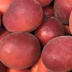 Поздние сорта абрикоса купить в Украине Поздние сорта абрикоса купить в Украине