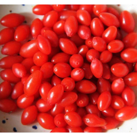 Годжи сорт Биг берри 1 летние, p9 Годжи сорт Биг берри 1 летние, p9