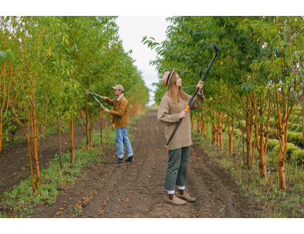 Умное использование удобрений в летний период: оптимизация питательного режима растений