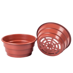 Горшок-миска для хризантем 1.8 л (19х8,5 см) Donkwiat Горшок-миска для хризантем 1.8 л (19х8,5 см) Donkwiat