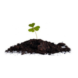 Біогумус купити в Україні. Натуральне добриво для рослин Біогумус купити в Україні. Натуральне добриво для рослин