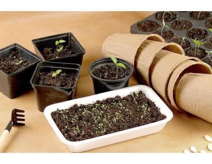 Как правильно выбрать пластиковый горшок для рассады и саженцев, на что обратить внимание