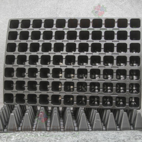 Кассета для рассады 77 ячеек по 65 мл DP 45/77 Кассета для рассады 77 ячеек по 65 мл DP 45/77