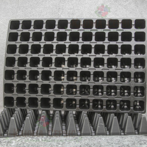 Кассета для рассады 77 ячеек по 65 мл DP 45/77 Кассета для рассады 77 ячеек по 65 мл DP 45/77