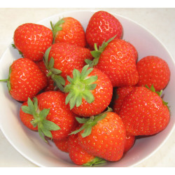 Середні сорти полуниці в Україні