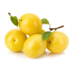 Саджанці аличі купити в Україні. Нові сорти аличі великоплідної