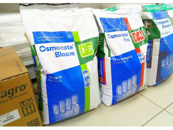 Норми внесення добрива Osmocote для рослин