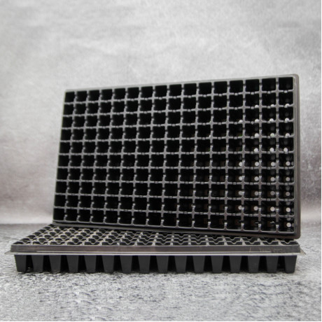 Кассета для рассады WD 24х24х52/160kw