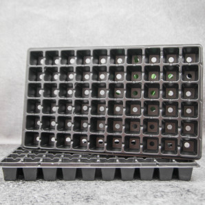 Кассета для рассады WD 45х45х50/60kw