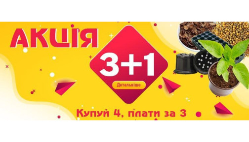 Акція 3+1 на покупку рослин від Кліома Сервіс Акція 3+1 на покупку рослин від Кліома Сервіс