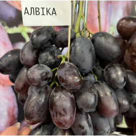 Виноград сорт Алвика, полуупакованный