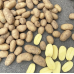 Семенной картофель Королева Анна, 70-80 дней, 2 репродукция