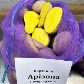 Семенной картофель Аризона, 70-80 дней, 2 репродукция
