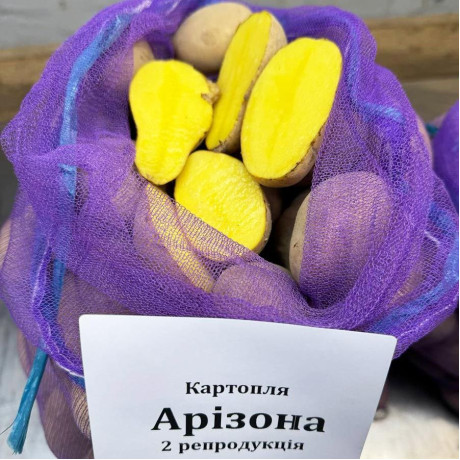 Семенной картофель Аризона, 70-80 дней, 2 репродукция