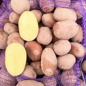 Семенной картофель Беллароза, 50-60 дней, 2 репродукция Семенной картофель Беллароза, 50-60 дней, 2 репродукция