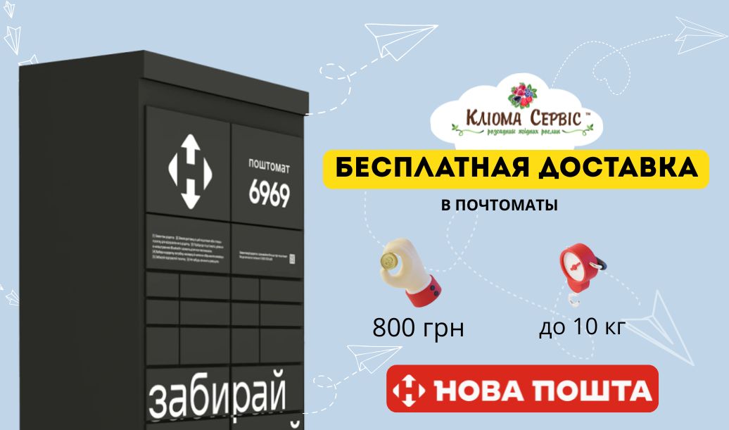 Бесплатная доставка в почтоматы товаров