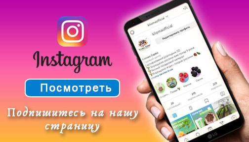 Подпишись на Инстаграм Клиома Сервис