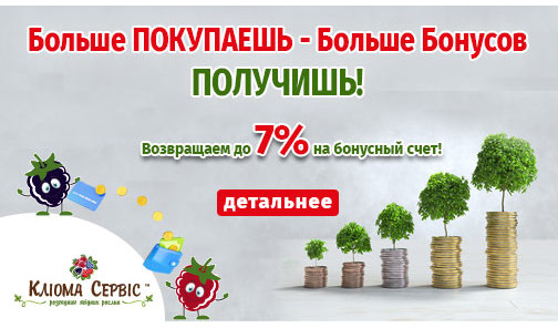 Бонусная программа для клиентов