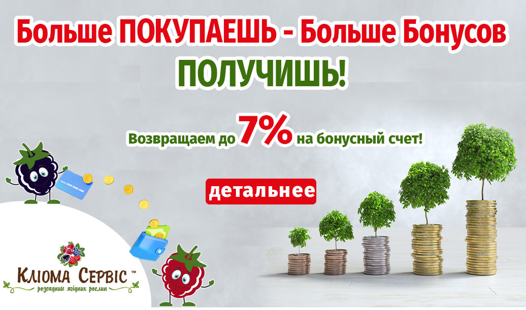 Бонусная программа для клиентов