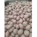 Семенной картофель Беллароза, 50-60 дней, 2 репродукция