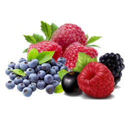 Саджанці ягідний рослин Саджанці ягідний рослин