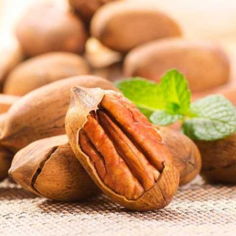 Саженцы ореха пекан сорт Буссерон 2 летние, конт. 2 л Саженцы ореха пекан сорт Буссерон 2 летние, конт. 2 л