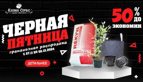 Black Friday 2024 – грандіозний розпродаж розпочато! Black Friday 2024 – грандіозний розпродаж розпочато!