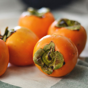 Хурма сорт Прок 1 річна, напівупакована Хурма сорт Прок 1 річна, напівупакована