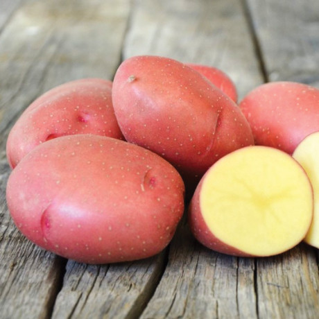 Семенной картофель Эволюшн, 70-80 дней, 2 репродукция Семенной картофель Эволюшн, 70-80 дней, 2 репродукция