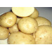 Семенной картофель Фабула, 80-90 дней, 2 репродукция