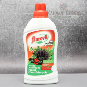 Удобрение Florovit (Флоровит) для зимозеленых (осеннее ), 1 л