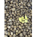 Семенной картофель Гала, 70-80 дней, 2 репродукция