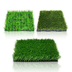 Газонная трава купить в Украине качественные семена Газонная трава купить в Украине качественные семена