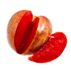 Гибриды плодовых деревьев Гибриды плодовых деревьев