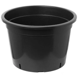 Великі горщики для дерев