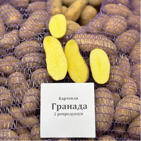 Семенной картофель Гранада, 90-110 дней, 2 репродукция Семенной картофель Гранада, 90-110 дней, 2 репродукция