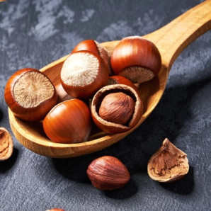 Фундук сорт Грандіозний