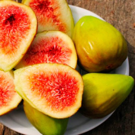 Інжир сорт Далматський, конт. P9