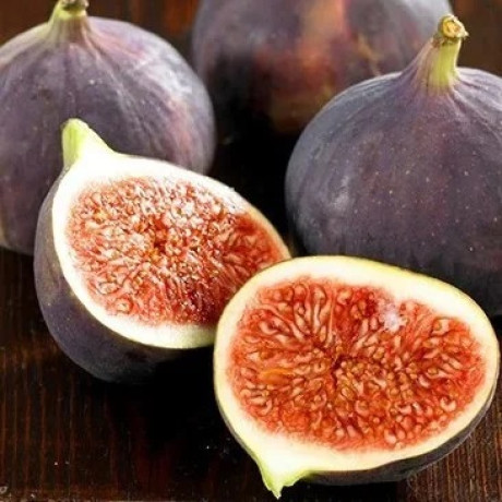 Інжир сорт Руж де Бордо 2 річний, конт. 5 л Інжир сорт Руж де Бордо 2 річний, конт. 5 л