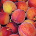 Персик сорт Кардинал (среднего срока созревания)