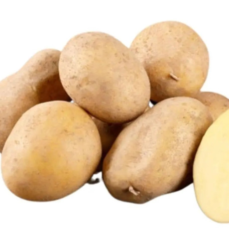 Семенной картофель Конкордия, 90-110 дней, 2 репродукция