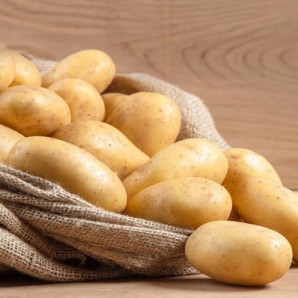 Семенной картофель Коринна, 50-60 дней, 2 репродукция Семенной картофель Коринна, 50-60 дней, 2 репродукция