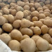Семенной картофель Коринна, 50-60 дней, 2 репродукция