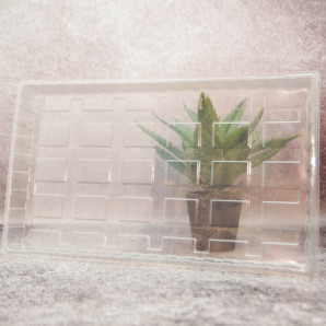 Крышка на кассеты для рассады Крышка на кассеты для рассады