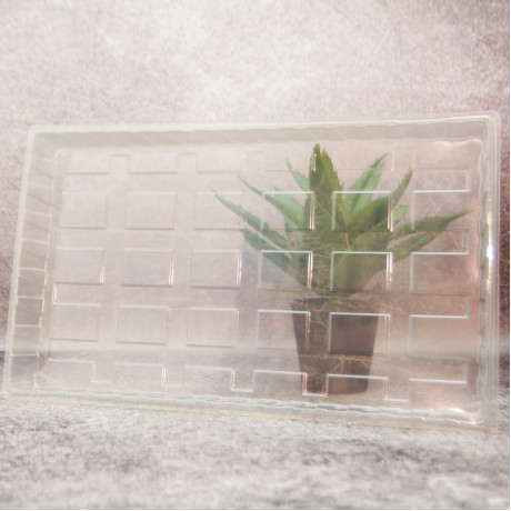 Крышка на кассеты для рассады Крышка на кассеты для рассады