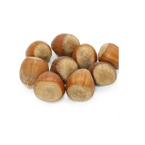 Фундук сорт Пам'яті Кучеренка