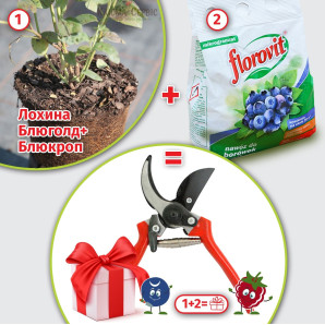 Набір товарів №11. Подарунок: Сікатор з опорною пружиною 