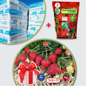 Набір товарів №14. Подарунок: Полуниця "Флоренс" в касетах