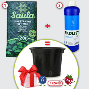 Набір товарів №7. Подарунок: Горщик круглий Carens 1,5 л, чорний